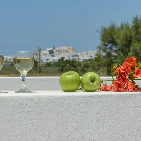 Apartman Naxos