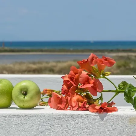 Appartement Naxos Naxos City